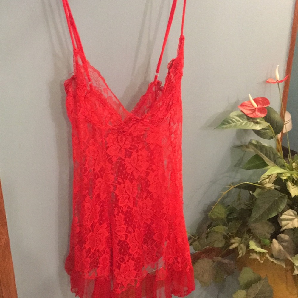 Red Teddy - Picture 3 of 5